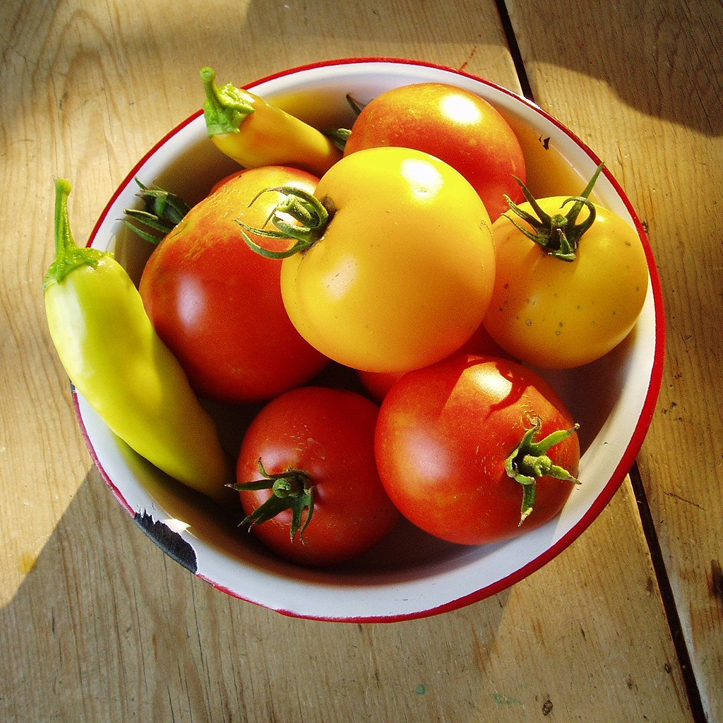 Bowl of freshly picked organic tomatoes and peppers