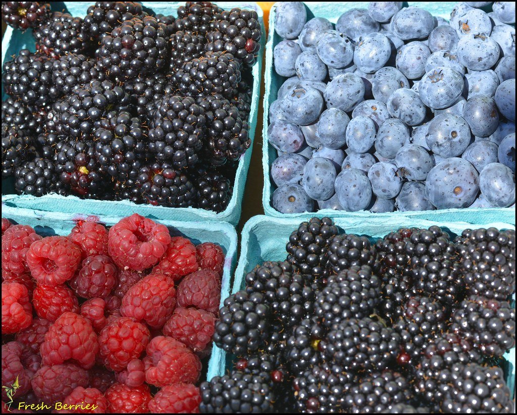 Summer Berry Punnets